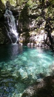 神童子谷沢登り