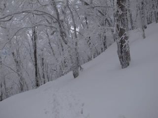 八経ヶ岳　新人冬山体験