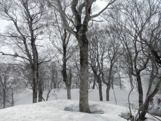 4/11～12笈ケ岳（その１）