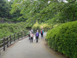 府連行事・清掃ハイキング　府民の森・ほしだ園地