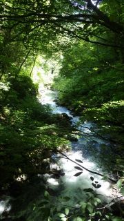 7～8日徳本峠、霞沢岳