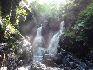 ヘク谷２０２０年７月１９日