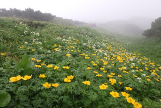 北アルプス黒部源流の旅　クリン編