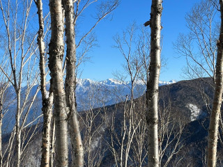 雪深き将棊頭山（2250m地点で撤退）※個人山行