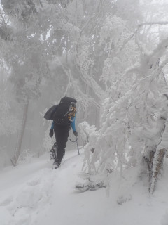 台高大又・薊岳・明神平・桧塚奥峰周回
