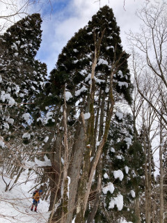 比良山　ラッセル講習