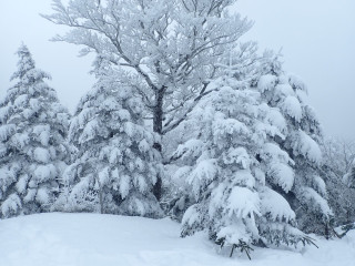 大峰　八経ケ岳