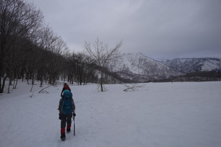 野伏ヶ岳