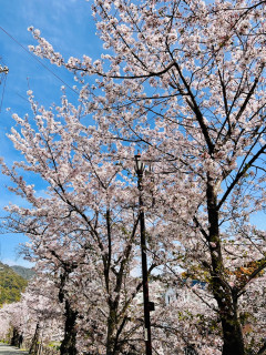 六甲〜荒地山　アイゼンボッカ