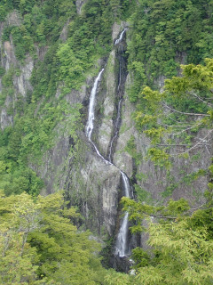 大台ケ原・シオカラ谷（沢登り）