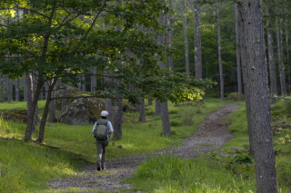 奥秩父の１００名山を巡る旅