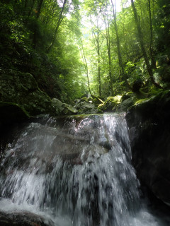 台高本沢川黒倉又谷