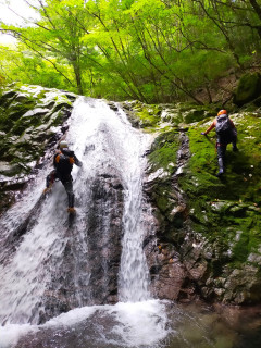 池郷川・大又谷（沢登り（初級））