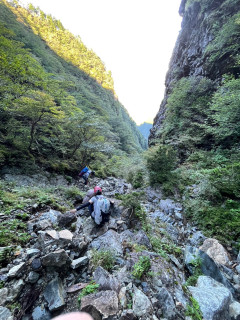 大台ヶ原　蒸篭嵓　ブッシュマン