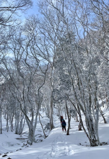 大峰　阿弥陀ヶ森　雪山日帰り山行