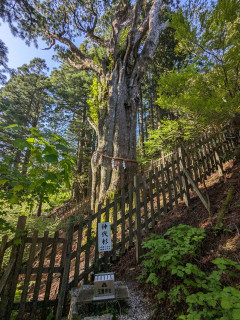 大峯奥駆道（5分の５　玉置神社～熊野本宮）