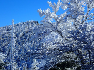 大峰山系八経ヶ岳
