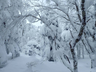 大峰山系　八経ヶ岳