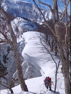 白山  百四丈滝