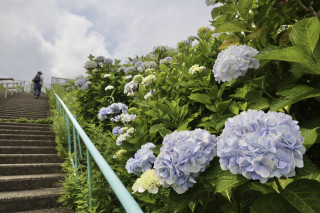 生駒山ハイキング