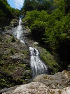 大峰　下多古川本谷　沢登り(有志山行)