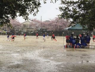 船橋市春季市民サッカー大会