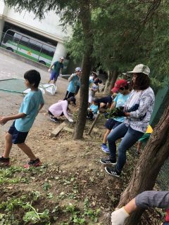 2019/09/07 草むしり