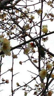 3月の参加人数が少ない日