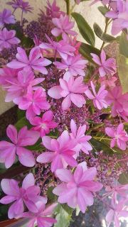 梅雨入りしましたね・・・