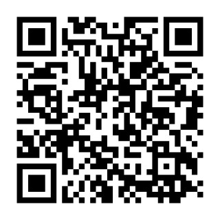 今週の活動（動画あり）