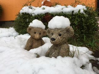 12月の活動予定