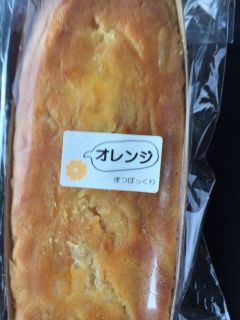 施設見学　まつぼっくり