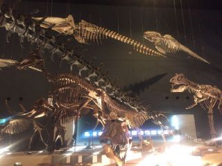 わくわく体験団お別れバス旅行