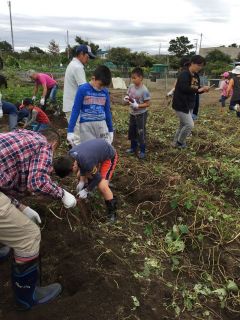 わくわく体験団　さつまいも掘り