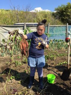 わくわく体験団　さつまいも掘り