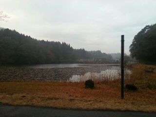 合宿終了から1daycup。