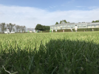 今日のTRMの感想。