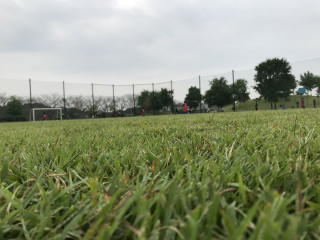 10月4日 4種リーグとTRM。