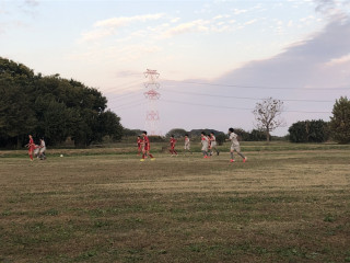 11月8日 6年生と3,2年生の活動。