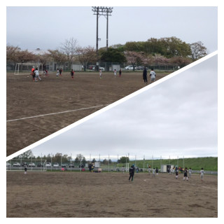 4月5日の活動。