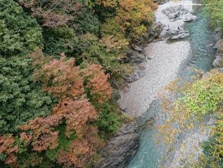 奥多摩紅葉ハイキング
