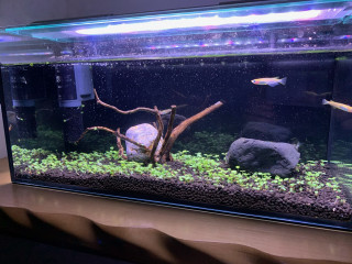 大塚公園　1面　2時間