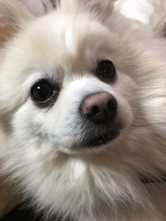 戸吹スポーツ　E F面　12時～14時