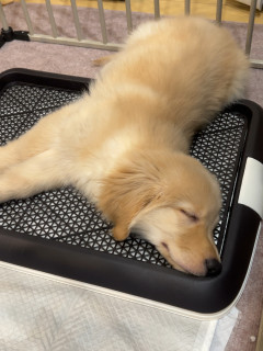 富士森公園 14:30〜16:30 B面