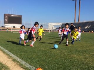 KFAキッズ（U-7）サッカーカーニバル２０１８香川in丸亀