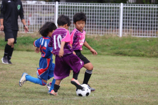 リリーズカップ