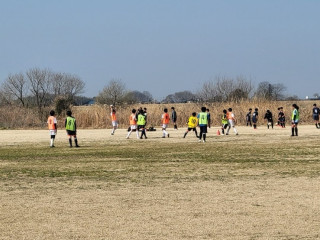 TM（U-11、8、7）