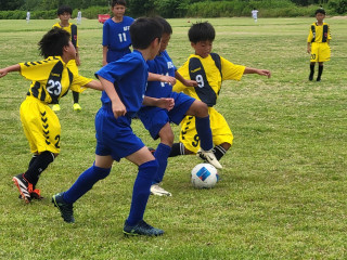 あしかびカップ（U-11）