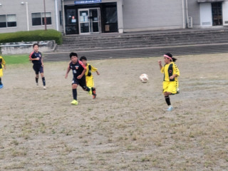 TM（６、５、４年）