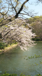 平成最後の総会&今年度最初の定例会